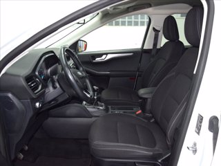 FORD Kuga 1.5 EcoBlue 120 CV 2WD Titanium 10
