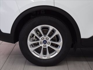 FORD Kuga 1.5 EcoBlue 120 CV 2WD Titanium 14