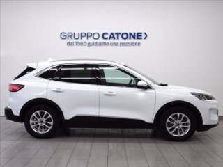FORD Kuga 1.5 EcoBlue 120 CV 2WD Titanium 3