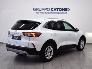 FORD Kuga 1.5 EcoBlue 120 CV 2WD Titanium 4
