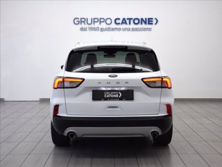 FORD Kuga 1.5 EcoBlue 120 CV 2WD Titanium 5
