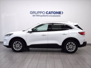 FORD Kuga 1.5 EcoBlue 120 CV 2WD Titanium 7