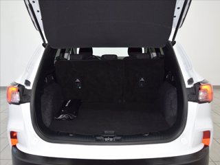 FORD Kuga 1.5 EcoBlue 120 CV 2WD Titanium 8