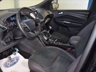 FORD Kuga 1.5 tdci ST-Line s&s 2wd 120cv my19.25 12