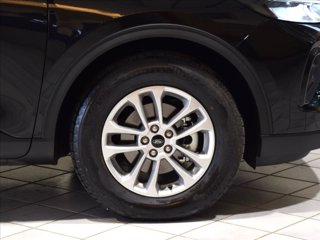 FORD Kuga 2.5 full hybrid Titanium 4wd 183cv auto 15
