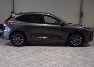 FORD Kuga 1.5 ecoblue ST-Line 2wd 120cv 3