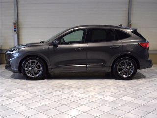 FORD Kuga 1.5 ecoblue ST-Line 2wd 120cv 7