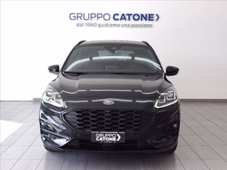 FORD Kuga 2.0 ecoblue mhev ST-Line 2wd 150cv 1