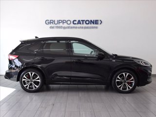 FORD Kuga 2.0 ecoblue mhev ST-Line 2wd 150cv 3