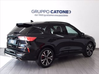 FORD Kuga 2.0 ecoblue mhev ST-Line 2wd 150cv 4