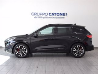 FORD Kuga 2.0 ecoblue mhev ST-Line 2wd 150cv 7