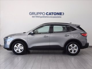 FORD Kuga 1.5 ecoblue Connect 2wd 120cv 7