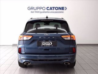 FORD Kuga 1.5 ecoblue ST-Line 2wd 120cv 5