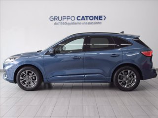FORD Kuga 1.5 ecoblue ST-Line 2wd 120cv 7