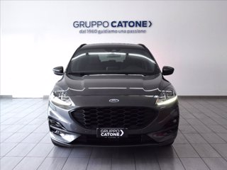 FORD Kuga 1.5 ecoblue ST-Line 2wd 120cv 1