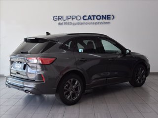 FORD Kuga 1.5 ecoblue ST-Line 2wd 120cv 4