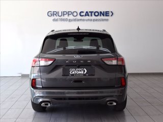 FORD Kuga 1.5 ecoblue ST-Line 2wd 120cv 5