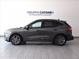 FORD Kuga 1.5 ecoblue ST-Line 2wd 120cv 7