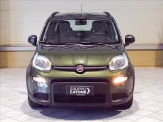 FIAT Panda 1.0 firefly hybrid s&s 70cv 1
