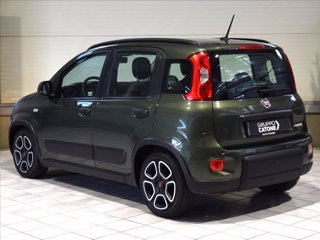 FIAT Panda 1.0 firefly hybrid s&s 70cv 6