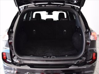 FORD Kuga 2.0 ecoblue ST-Line X 2wd 120cv auto 8