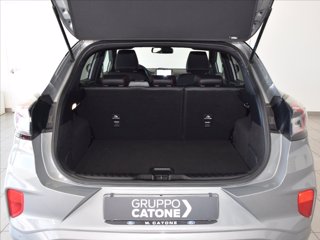 FORD Puma 1.5 ecoblue ST-Line s&s 120cv 8