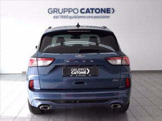 FORD Kuga 2.5 phev ST-Line X Design 2wd 225cv cvt 5