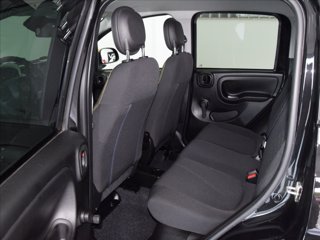 FIAT Pandina 1.0 firefly hybrid Icon s&s 70cv 5p.ti 9