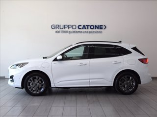 FORD Kuga 2.5 phev ST-Line 2wd 243cv auto 7