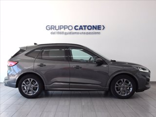 FORD Kuga 2.5 full hybrid ST-Line 2wd 190cv cvt 3