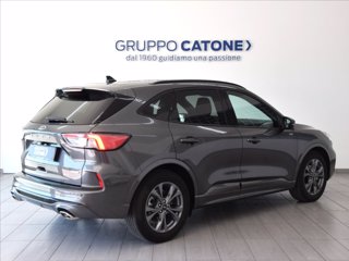 FORD Kuga 2.5 full hybrid ST-Line 2wd 190cv cvt 4