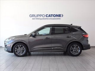 FORD Kuga 2.5 full hybrid ST-Line 2wd 190cv cvt 7