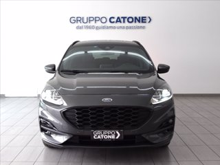 FORD Kuga 1.5 ecoblue ST-Line 2wd 120cv auto 1