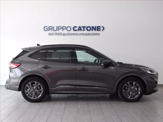 FORD Kuga 1.5 ecoblue ST-Line 2wd 120cv auto 3