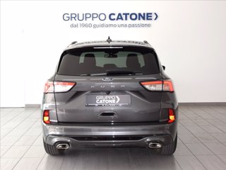 FORD Kuga 1.5 ecoblue ST-Line 2wd 120cv auto 5