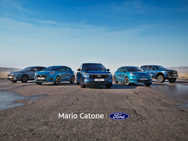 Gamma Ford 2026 Cell