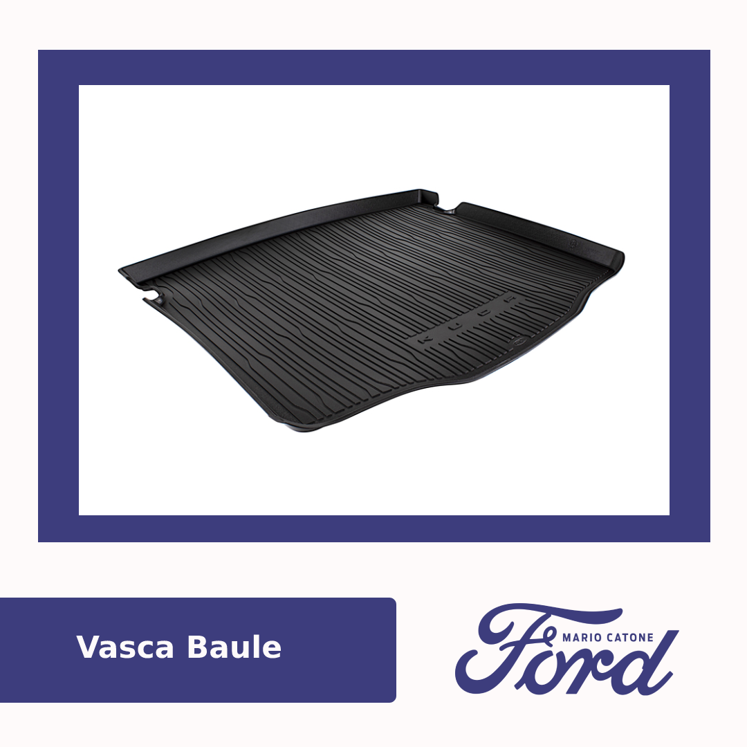 Vasca Baule Ford Kuga