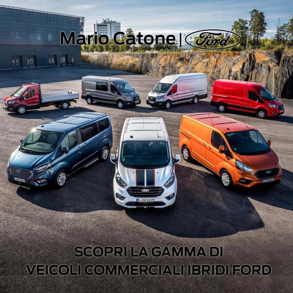 GAMMA VEICOLI COMMERCIALI FORD66