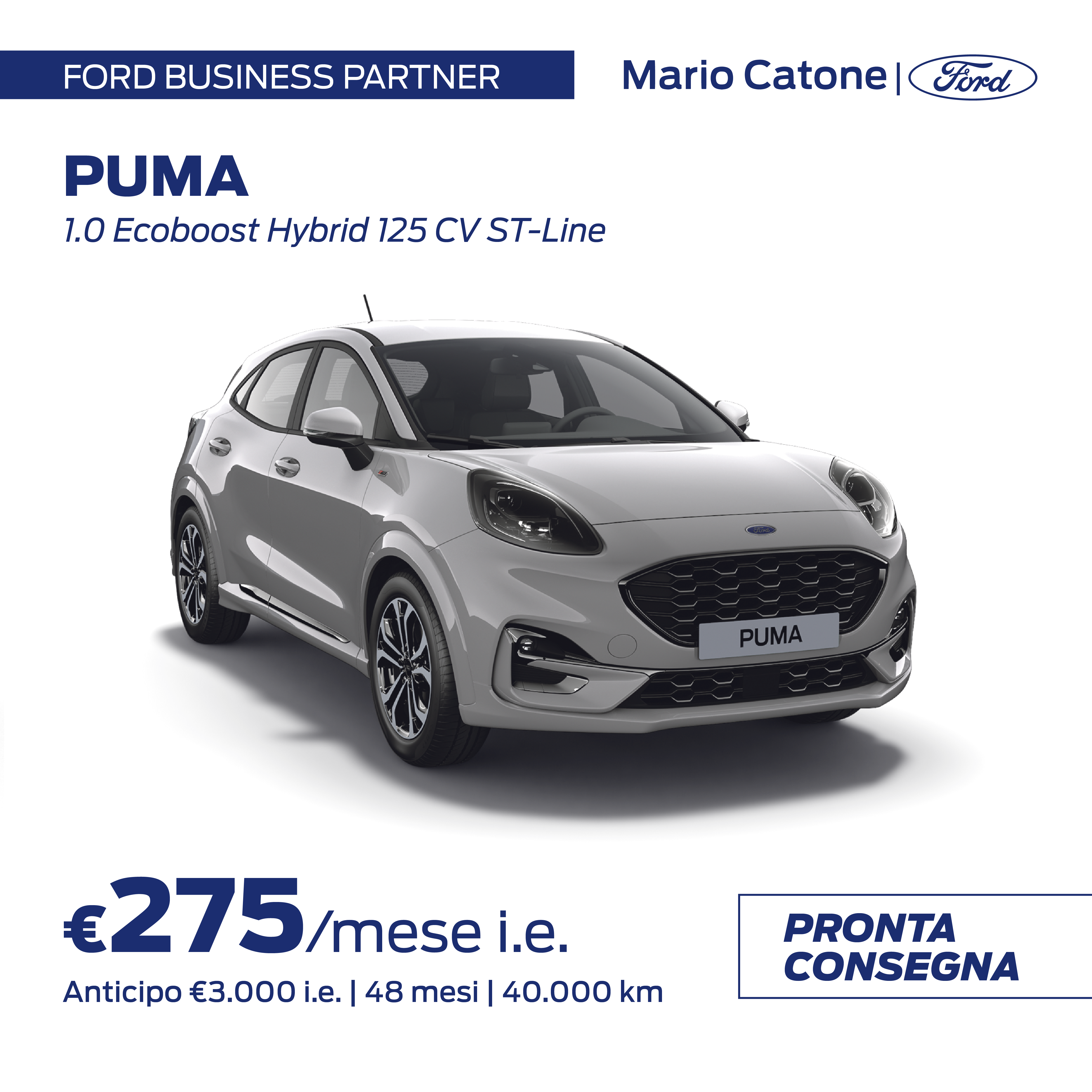 Noleggio Ford Settembre (7)